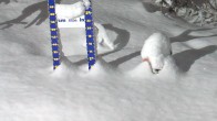 Archiv Foto Webcam Schneehöhe Sunshine Village 05:00