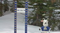 Archiv Foto Webcam Schneehöhe Sunshine Village 08:00