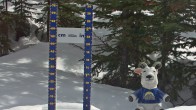 Archived image Webcam Settled Base Sunshine Village 14:00