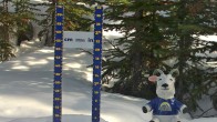 Archived image Webcam Settled Base Sunshine Village 16:00