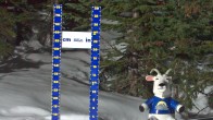 Archived image Webcam Settled Base Sunshine Village 20:00