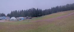 Archiv Foto Webcam Paganella: Standort Prati di Gaggia 09:00