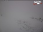 Archived image Webcam La Selletta - Cima Paganella ski lift 05:00