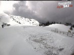 Archived image Webcam La Selletta - Cima Paganella ski lift 11:00