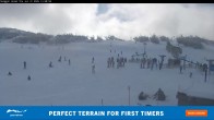 Archiv Foto Webcam Perisher: Smiggin Holes 13:00