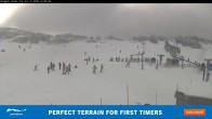 Archiv Foto Webcam Perisher: Smiggin Holes 14:00