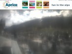 Archived image Webcam Aprica 11:00