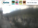 Archiv Foto Webcam Ort Aprica 15:00