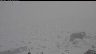 Archiv Foto Webcam Thredbo: Kosciuszko Pfad 11:00