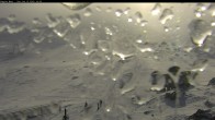 Archiv Foto Webcam Thredbo: Kosciuszko Pfad 13:00