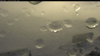 Archiv Foto Webcam Thredbo: Kosciuszko Pfad 14:00