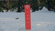 Archived image Webcam Snow Stake Mt Bachelor 09:00