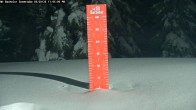 Archived image Webcam Snow Stake Mt Bachelor 19:00