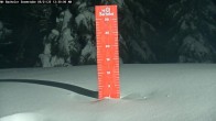 Archived image Webcam Snow Stake Mt Bachelor 20:00