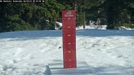 Archived image Webcam Snow Stake Mt Bachelor 09:00