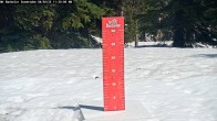 Archived image Webcam Snow Stake Mt Bachelor 11:00