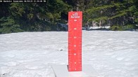 Archived image Webcam Snow Stake Mt Bachelor 13:00