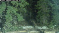 Archiv Foto Webcam Schneehöhenanzeige Mt Bachelor 01:00