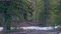 Archived image Webcam Snow Stake Mt Bachelor 05:00