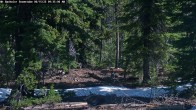 Archiv Foto Webcam Schneehöhenanzeige Mt Bachelor 09:00