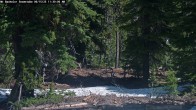 Archiv Foto Webcam Schneehöhenanzeige Mt Bachelor 11:00