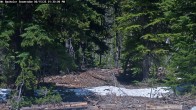 Archiv Foto Webcam Schneehöhenanzeige Mt Bachelor 13:00