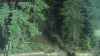 Archiv Foto Webcam Schneehöhenanzeige Mt Bachelor 01:00