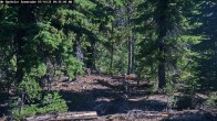 Archiv Foto Webcam Schneehöhenanzeige Mt Bachelor 09:00