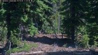 Archiv Foto Webcam Schneehöhenanzeige Mt Bachelor 11:00