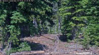 Archiv Foto Webcam Schneehöhenanzeige Mt Bachelor 13:00