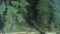 Archiv Foto Webcam Schneehöhenanzeige Mt Bachelor 23:00