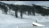 Archived image Webcam Cinder Cone Mt Bachelor 11:00