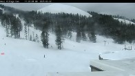 Archiv Foto Webcam Mt Bachelor: The Cone 11:00