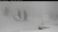 Archived image Webcam Cinder Cone Mt Bachelor 04:00