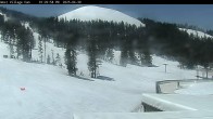 Archiv Foto Webcam Mt Bachelor: The Cone 13:00