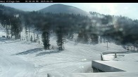 Archiv Foto Webcam Mt Bachelor: The Cone 17:00