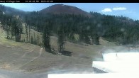 Archived image Webcam Cinder Cone Mt Bachelor 13:00