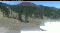 Archiv Foto Webcam Mt Bachelor: The Cone 11:00