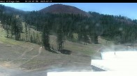 Archiv Foto Webcam Mt Bachelor: The Cone 13:00