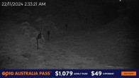 Archiv Foto Webcam Hotham Alpine Resort: Snake Gully 01:00