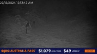 Archived image Webcam Hotham: Snake Gully 23:00