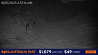 Archiv Foto Webcam Hotham Alpine Resort: Snake Gully 01:00