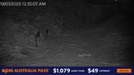 Archiv Foto Webcam Hotham Alpine Resort: Snake Gully 23:00