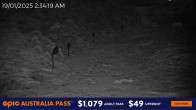 Archiv Foto Webcam Hotham Alpine Resort: Snake Gully 01:00