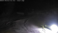 Archived image Webcam Mammoth Mountain - Canyon Lodge 04:00