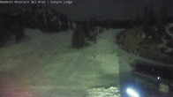 Archiv Foto Webcam Mammoth Mountain: Canyon Lodge 00:00