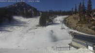 Archived image Webcam Mammoth Mountain - Canyon Lodge 10:00