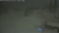 Archiv Foto Webcam Mammoth Mountain: Canyon Lodge 04:00