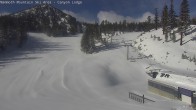 Archiv Foto Webcam Mammoth Mountain: Canyon Lodge 08:00