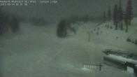 Archiv Foto Webcam Mammoth Mountain: Canyon Lodge 01:00